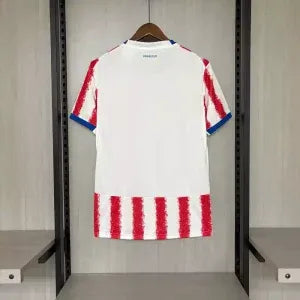 Paraguay 2026 Home Shirt 